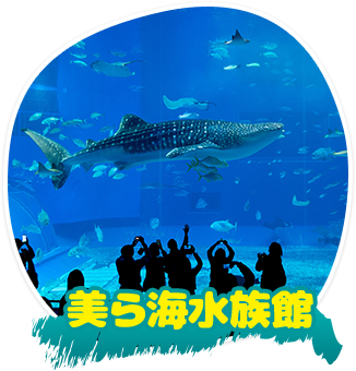 美ら海水族館